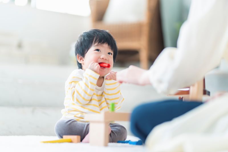 タケックスの特徴